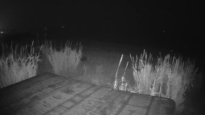 immagine della webcam nei dintorni di Morro d'Oro: webcam Martinsicuro