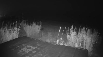 immagine della webcam nei dintorni di San Benedetto del Tronto: webcam Martinsicuro