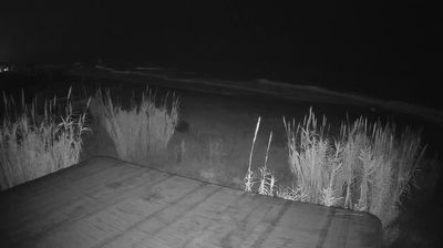 immagine della webcam nei dintorni di Ascoli Piceno: webcam Martinsicuro