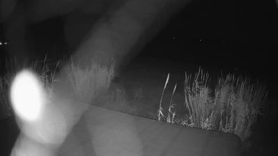 immagine della webcam nei dintorni di Tortoreto Lido: webcam Martinsicuro