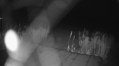 immagine della webcam nei dintorni di Alba Adriatica: webcam Martinsicuro