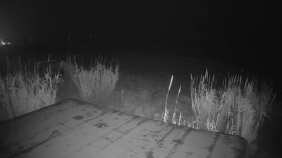 immagine della webcam nei dintorni di Ascoli Piceno: webcam Martinsicuro