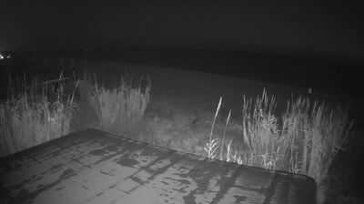 immagine della webcam nei dintorni di Roseto degli Abruzzi: webcam Martinsicuro