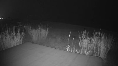 immagine della webcam nei dintorni di Campli: webcam Martinsicuro