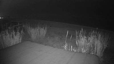 immagine della webcam nei dintorni di Alba Adriatica: webcam Martinsicuro