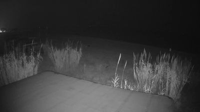 immagine della webcam nei dintorni di San Benedetto del Tronto: webcam Martinsicuro