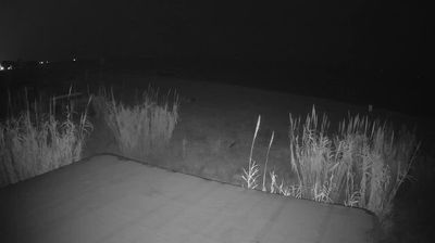 immagine della webcam nei dintorni di Grottammare: webcam Martinsicuro