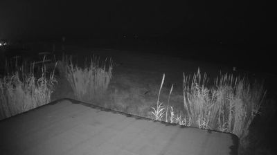 immagine della webcam nei dintorni di Scerne: webcam Martinsicuro