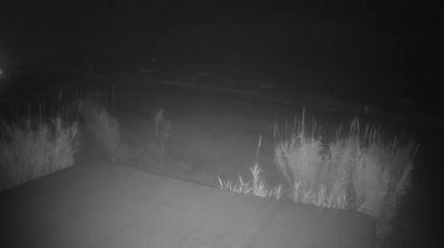 immagine della webcam nei dintorni di San Benedetto del Tronto: webcam Martinsicuro