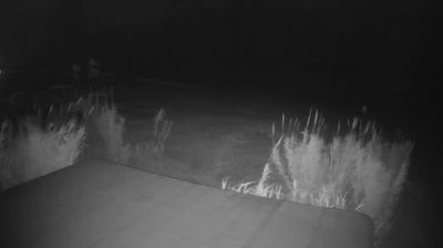 immagine della webcam nei dintorni di Cossignano: webcam Martinsicuro