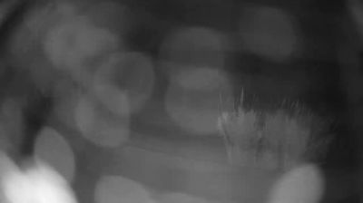 immagine della webcam nei dintorni di Roseto degli Abruzzi: webcam Martinsicuro
