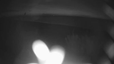 immagine della webcam nei dintorni di Tortoreto: webcam Martinsicuro