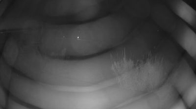 Preview delle webcam di Martinsicuro