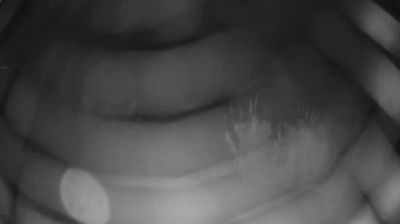 Preview delle webcam di Martinsicuro