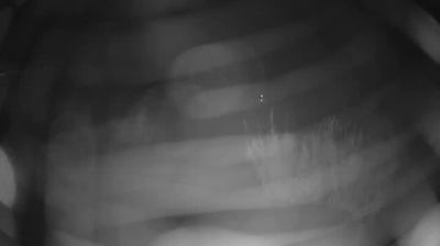 immagine della webcam nei dintorni di Morro d'Oro: webcam Martinsicuro