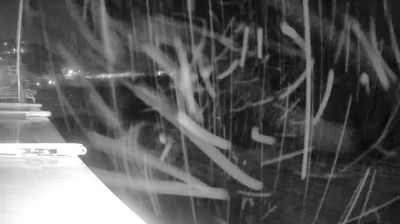 immagine della webcam nei dintorni di Bonassola: webcam Cavi