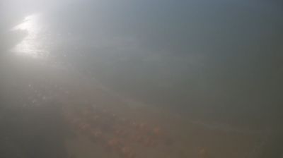 immagine della webcam nei dintorni di Cagnano Varano: webcam Manacore