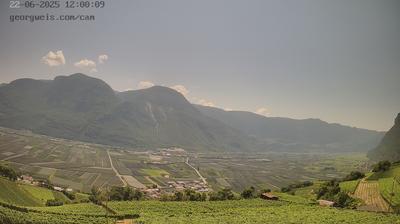 immagine della webcam nei dintorni di Palù del Fersina: webcam Cortaccia sulla Strada del Vino