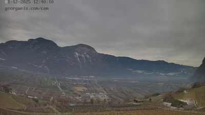 immagine della webcam nei dintorni di Cavalese: webcam Cortaccia sulla Strada del Vino