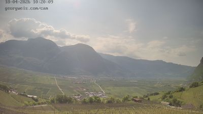 immagine della webcam nei dintorni di Cavalese: webcam Cortaccia sulla Strada del Vino