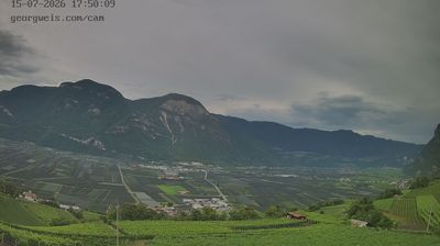 immagine della webcam nei dintorni di Cavalese: webcam Cortaccia sulla Strada del Vino