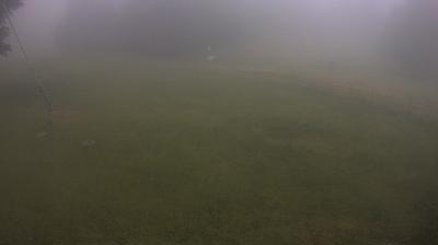 immagine della webcam nei dintorni di Monte Cimone: webcam Piane di Mocogno