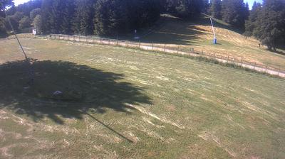 immagine della webcam nei dintorni di Sant'Annapelago: webcam Piane di Mocogno