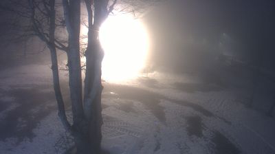 immagine della webcam nei dintorni di Palagano: webcam Piane di Mocogno