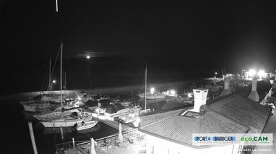 immagine della webcam nei dintorni di Isola Albarella: webcam Scardovari