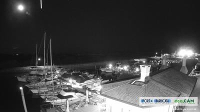 immagine della webcam nei dintorni di Isola Albarella: webcam Scardovari