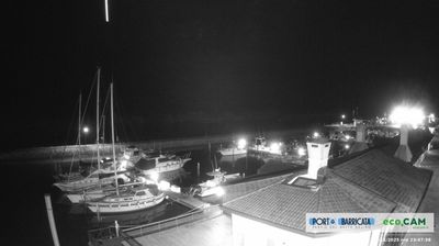 Preview delle webcam di Scardovari