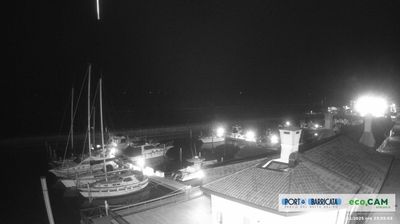 Preview delle webcam di Scardovari