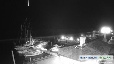 immagine della webcam nei dintorni di Porto Tolle: webcam Scardovari