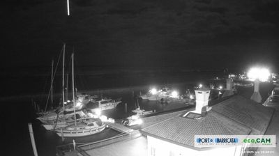 immagine della webcam nei dintorni di Isola Albarella: webcam Scardovari