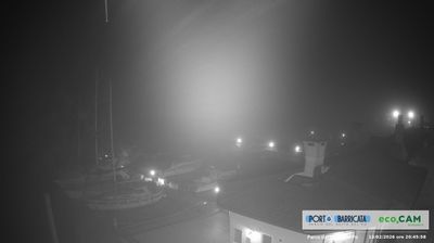 immagine della webcam nei dintorni di Lido di Pomposa: webcam Scardovari