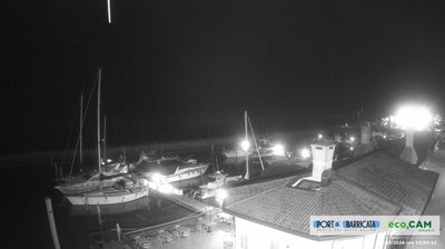 immagine della webcam nei dintorni di Isola Albarella: webcam Scardovari