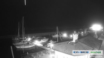 immagine della webcam nei dintorni di Lido di Pomposa: webcam Scardovari