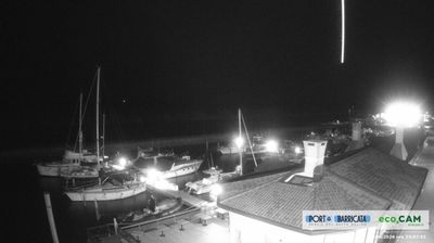 immagine della webcam nei dintorni di Comacchio: webcam Scardovari