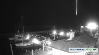 immagine della webcam nei dintorni di Lido di Pomposa: webcam Scardovari