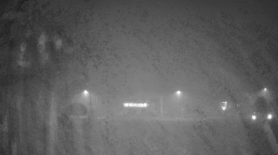 immagine della webcam nei dintorni di Bibione Pineda: webcam Crepaldo