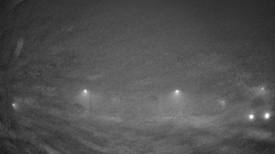 immagine della webcam nei dintorni di Musile di Piave: webcam Crepaldo