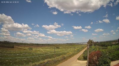 immagine della webcam nei dintorni di Montescaglioso: webcam Marconia