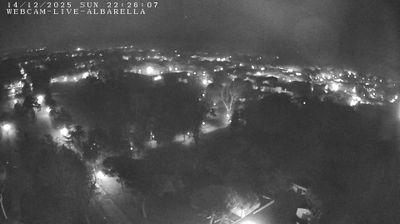 immagine della webcam nei dintorni di Rosolina: webcam Isola Albarella