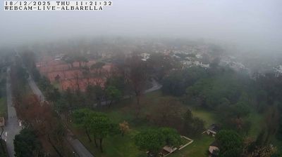 immagine della webcam nei dintorni di Isola Verde: webcam Isola Albarella