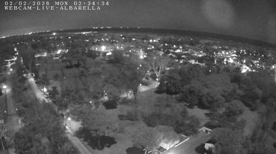 immagine della webcam nei dintorni di Isola Verde: webcam Isola Albarella