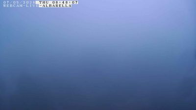 immagine della webcam nei dintorni di Isola Verde: webcam Isola Albarella