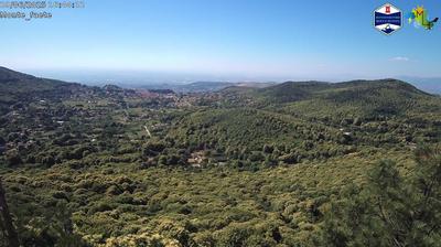 immagine della webcam nei dintorni di Torre Maura: webcam Domatore