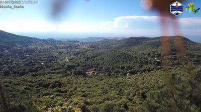 immagine della webcam nei dintorni di Tor Vergata: webcam Domatore