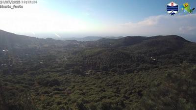immagine della webcam nei dintorni di Tor Sapienza: webcam Domatore