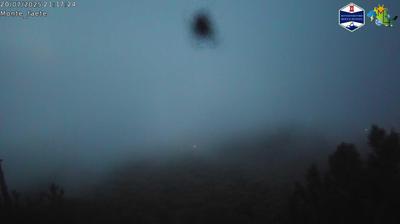 immagine della webcam nei dintorni di Tor Bella Monaca: webcam Domatore